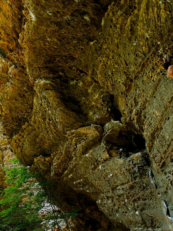 Red River Gorge climbing