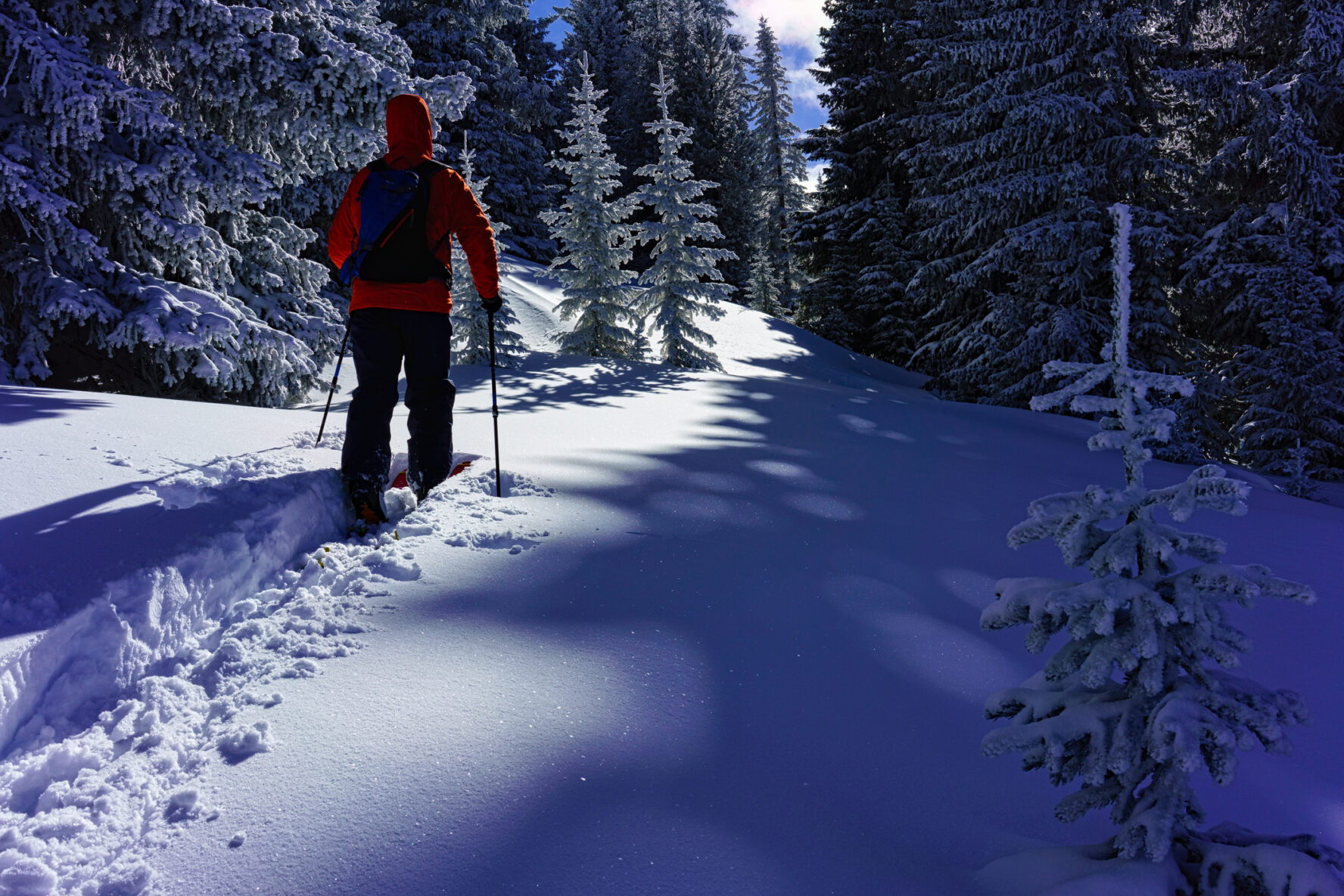 Ski Touring in Fresh Snow Backcountry - Recreational skier enjoys fresh snow and sunny weather.