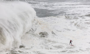 Surfing in giant waves of Nazare, Portugal.