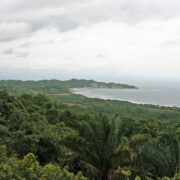 Nosara in Costa RicaThe beaches of Nosara are surrounded by a lush, green jungle.