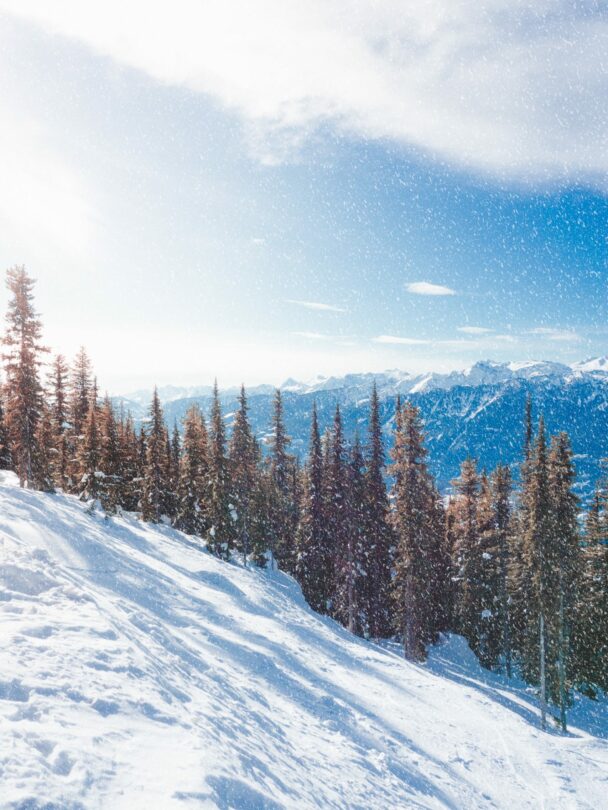 Revelstoke backcountry skiing