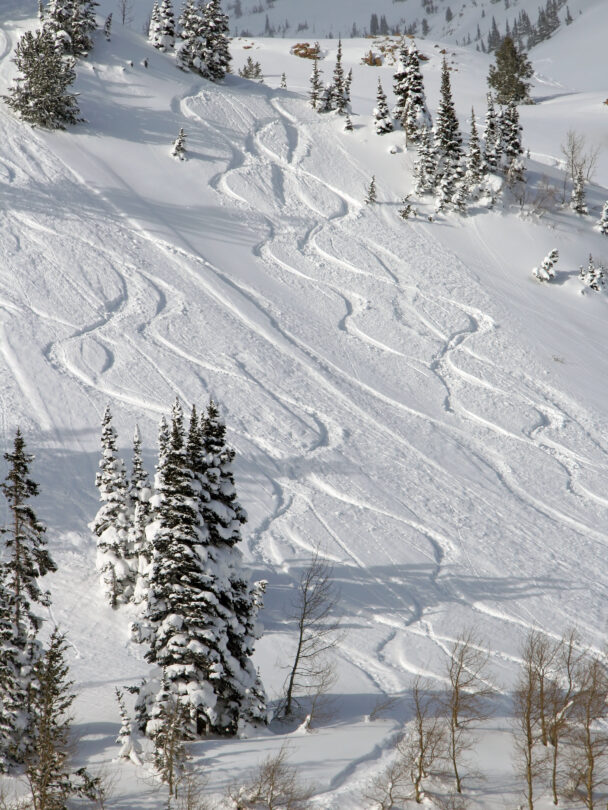 Guided Backcountry Skiing in Wasatch