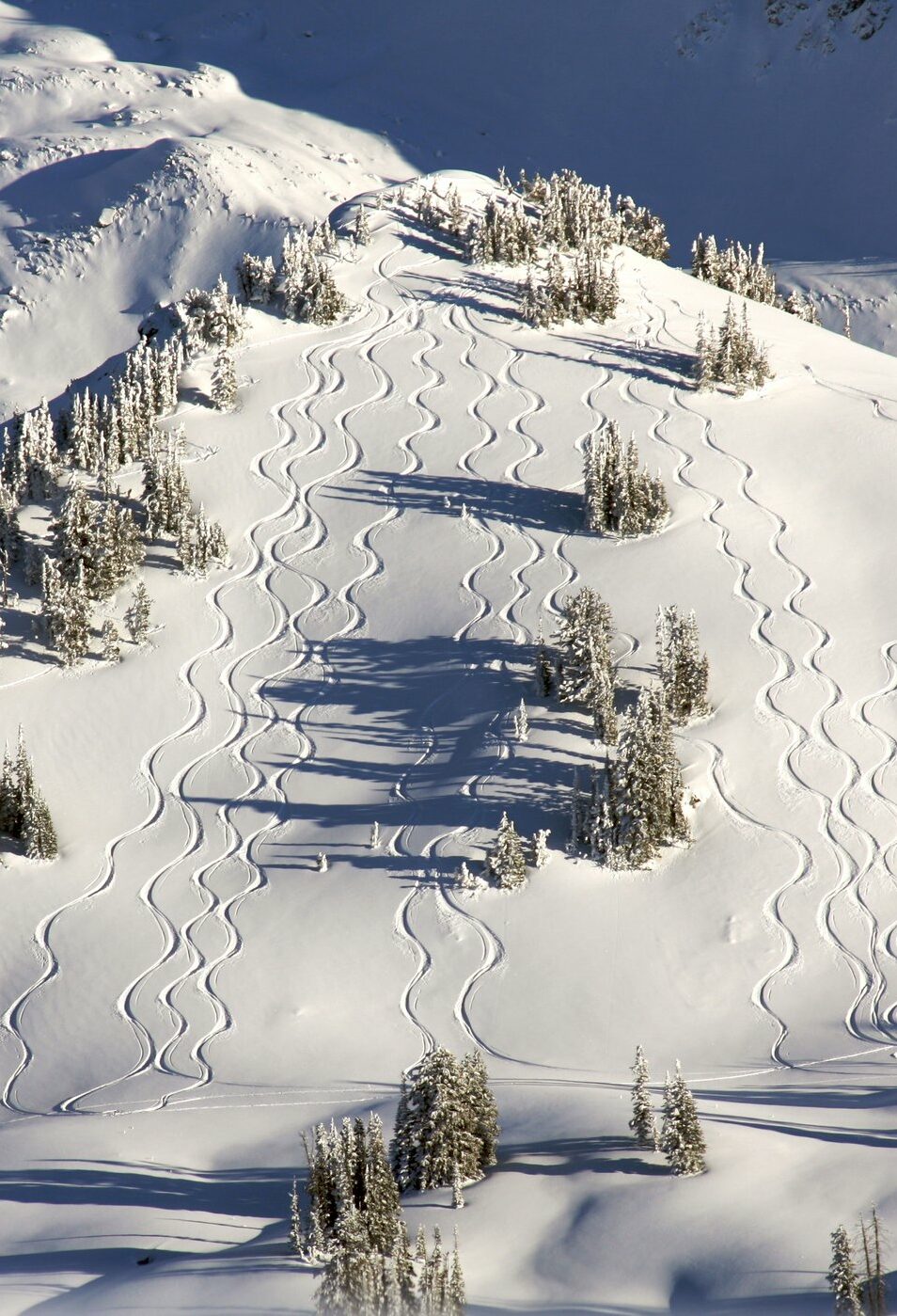 Jackson Hole features some of the most epic ski trail rides in the whole of the US.