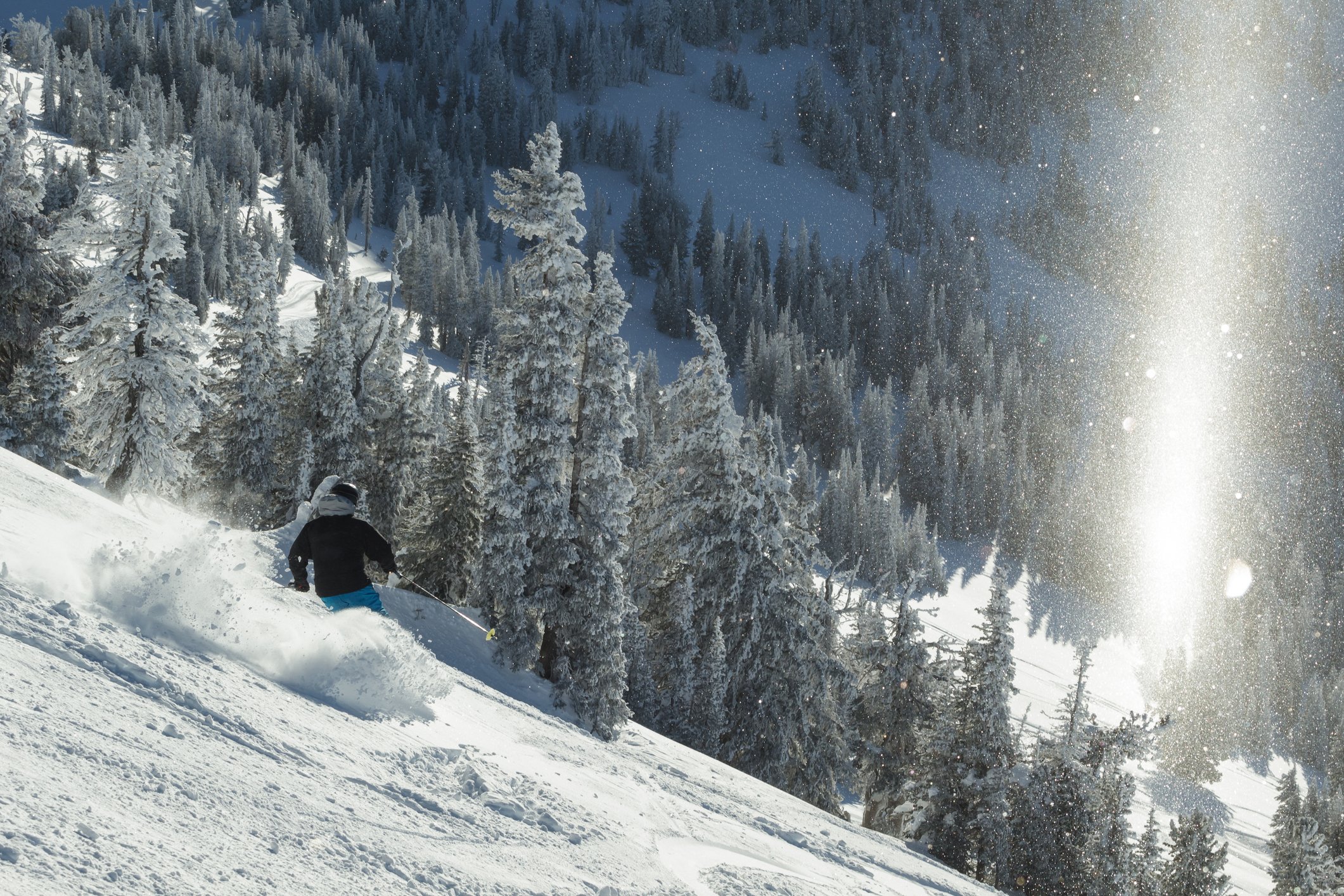 Guided Backcountry Skiing in Grand Targhee, WY 57hours
