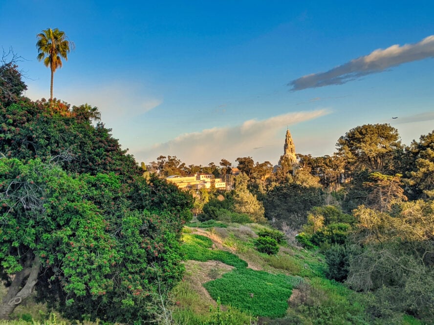 Views of Cabrillo Canyon and the California Tower from near Cypress Grove. Photo by Liz Thomas