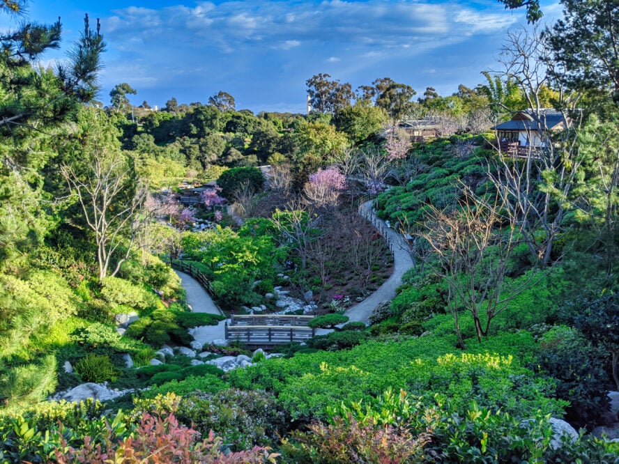 The Huntington Library and Botanical Gardens, one of the stops on this San Diego urban hike.