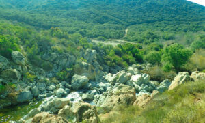 The “little cliffs” of the Los Penasquitos Canyon.