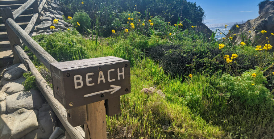 At the base of the stairs at the Torrey Pines, you’ll find a sign directing you towards the beach.