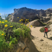 The descent to the Torrey Pines beach takes you past wind caves and down a narrow bluff.