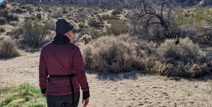 The Boy Scout Trail travels near the edge of the Wonderland of Rocks, an impenetrable mass of boulders.