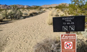 The end of the Boy Scout Trail at Indian Cove.