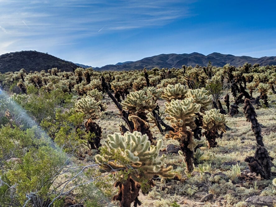 For an easy hike that pays off in spades, try to hike this trail at sunrise or sunset. 