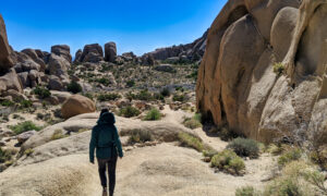 Travel past house-sized boulders, including the famous Split Rock