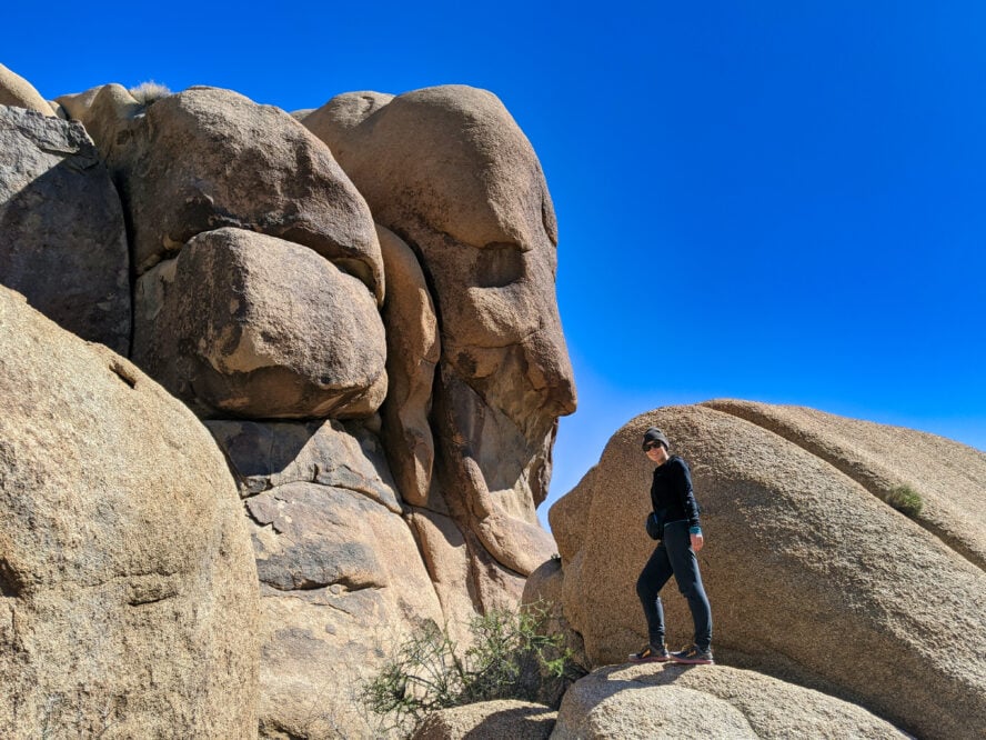 If you’re looking for big boulders and scrambling opportunities, head to Split Rock Trail.