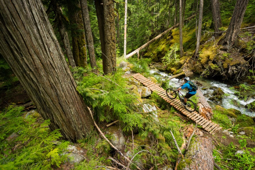 Cross country biking in Whistler