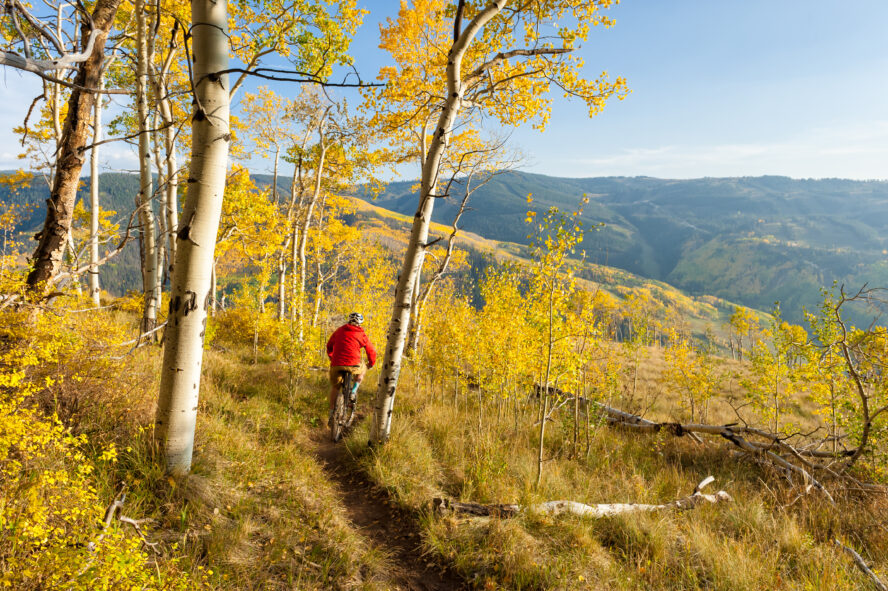 Aspen MTB