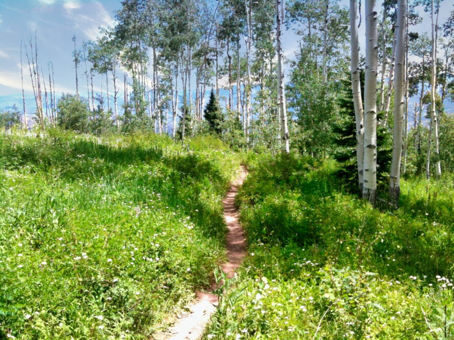 Aspen MTB