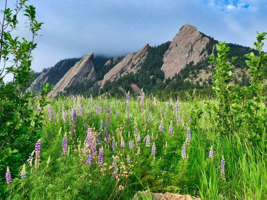 Flatirons 