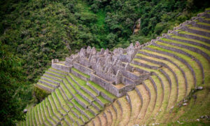 The Inca ruins of Wiñay Wayna, the favorite highlight for many hikers. Photo by Alpaca Expeditions