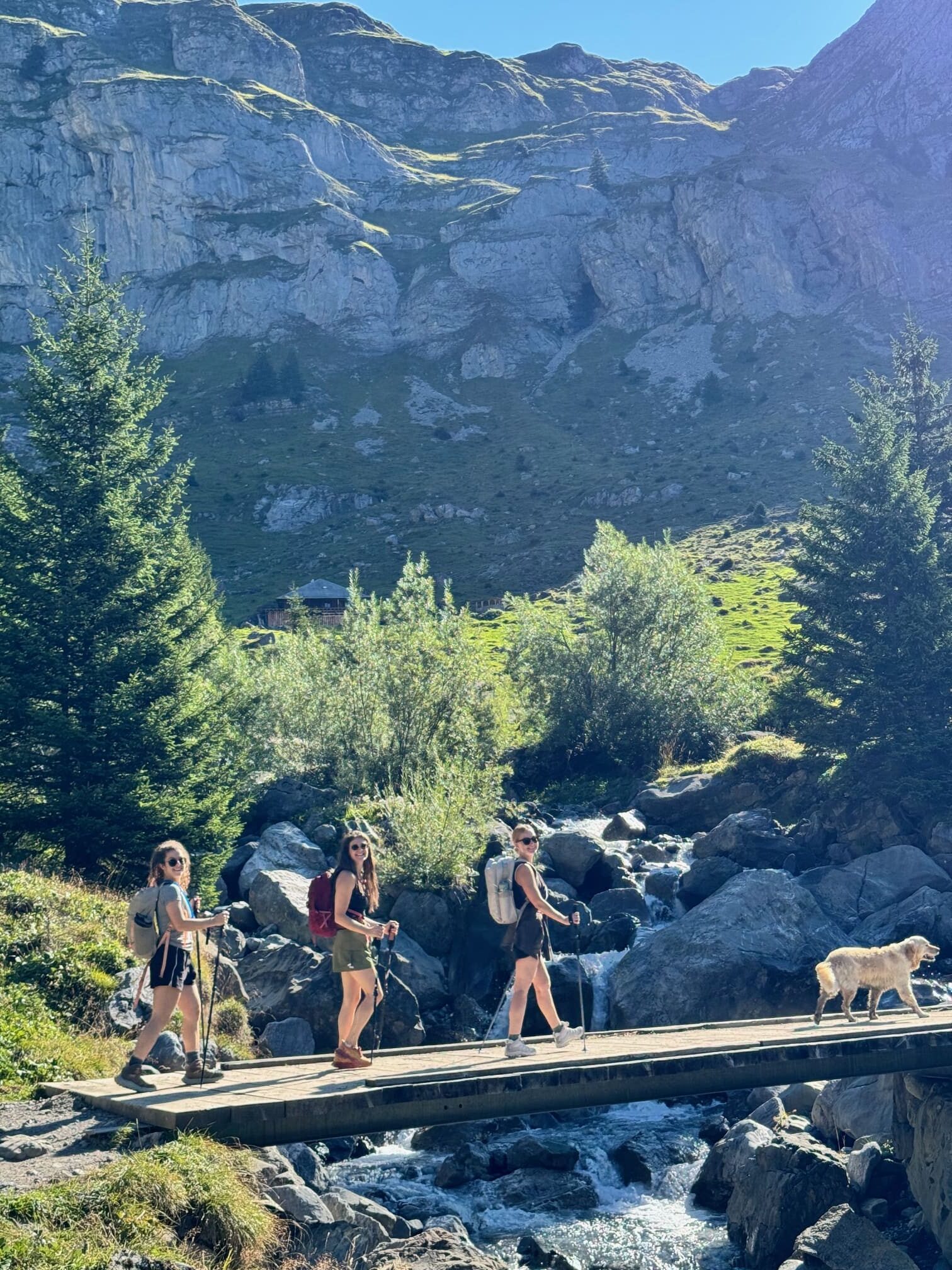 Bridge walking Swiss Alps