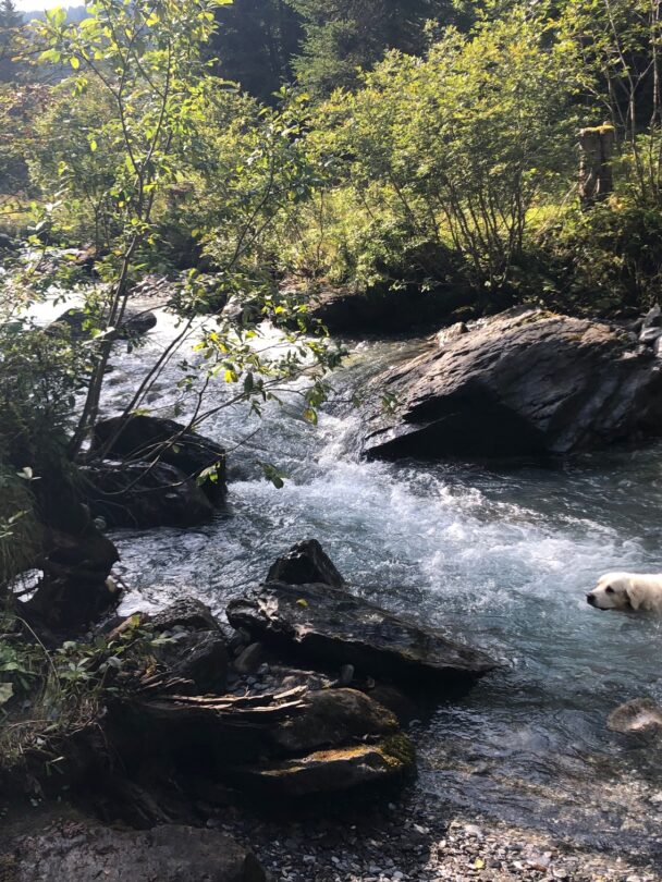 Guided Swiss Alps luxury hiking adventure