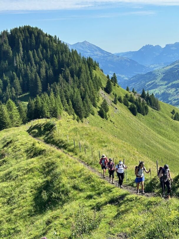 Guided Swiss Alps luxury hiking adventure