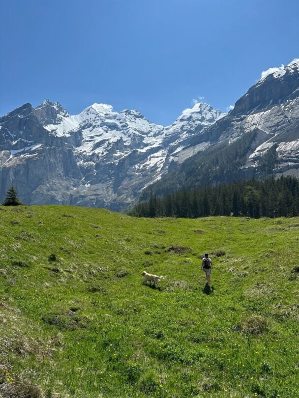 Stunning lake swiss