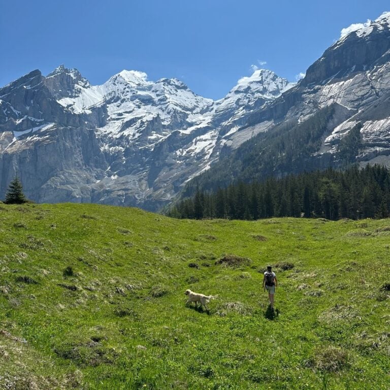 Hiking with a dog on Via Alpina