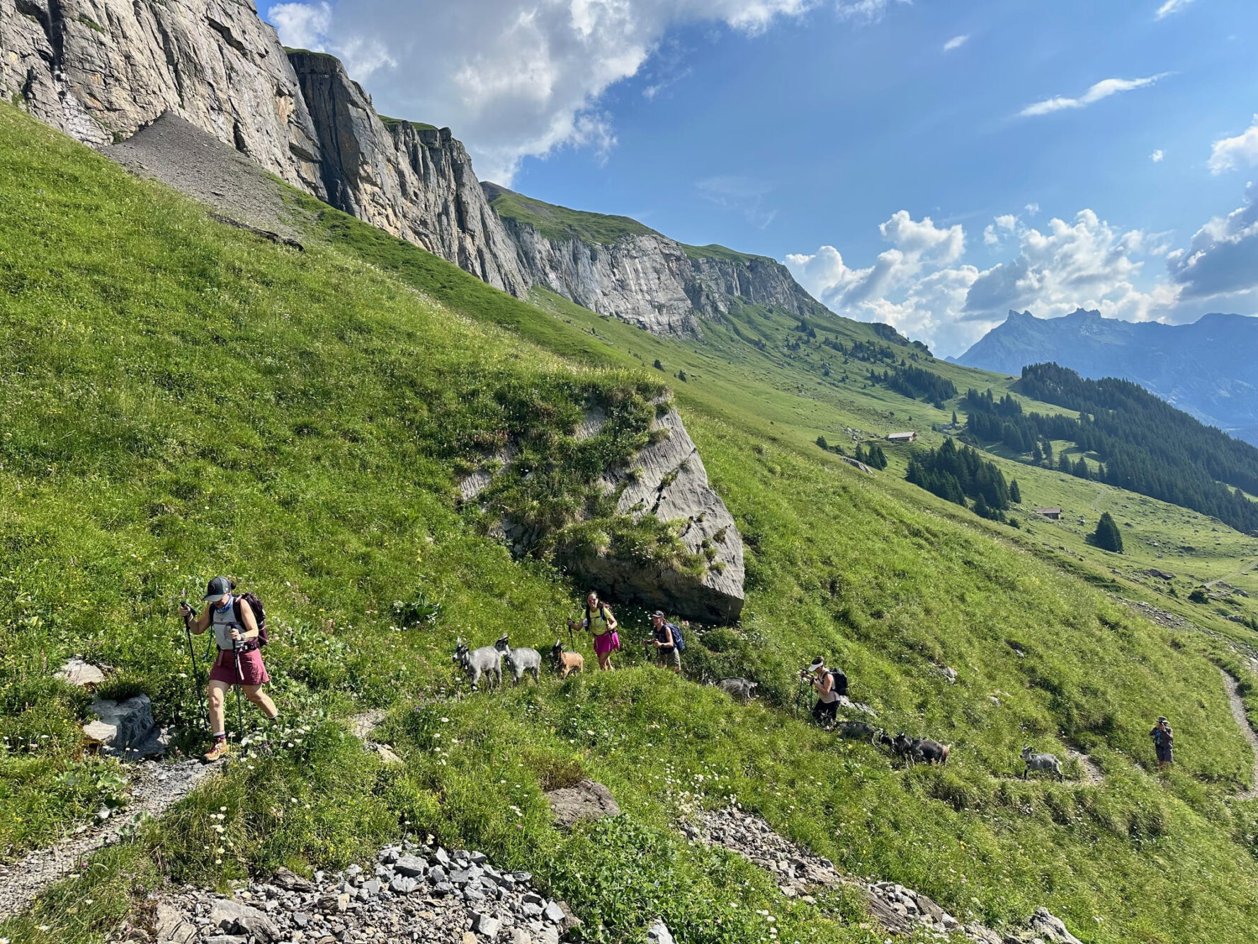 Lush mountains Swiss