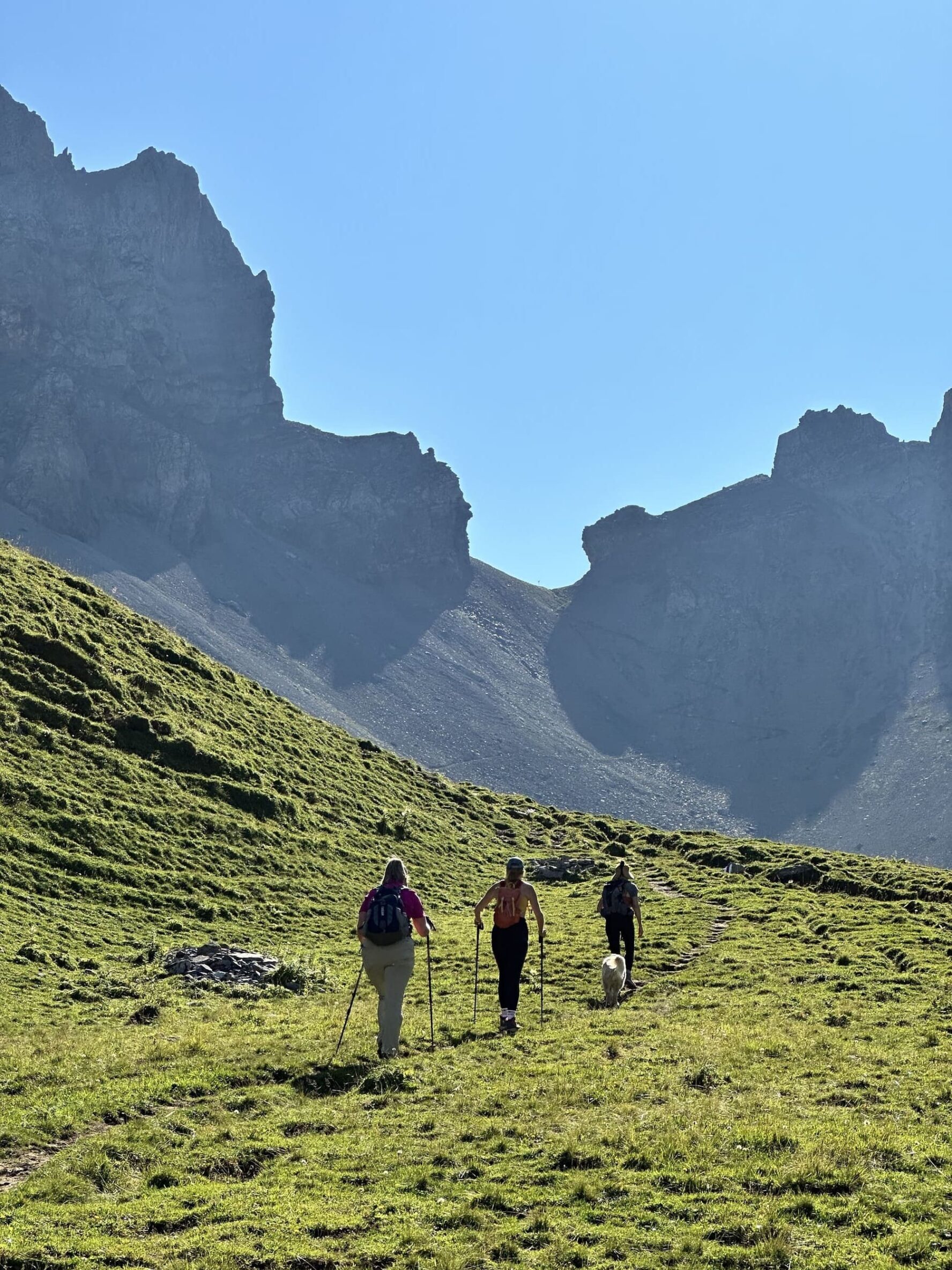 Lush Swiss Alps and hikers