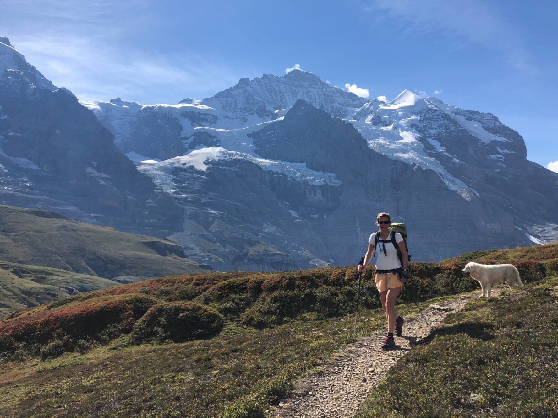 Spectacular views of the Swiss mountains, a guide and her dog