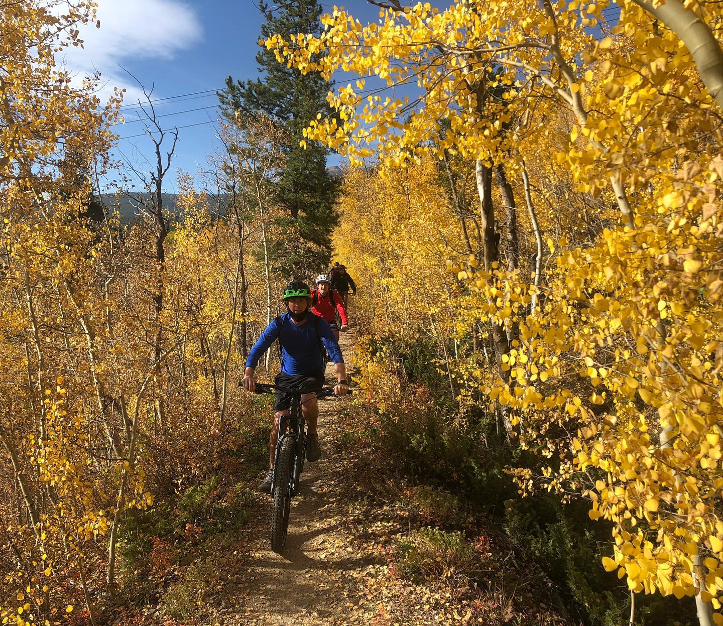 Bikers cruising through the treeline in the Breckenridge area.