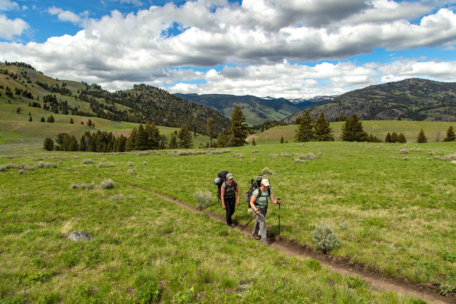 Guided Backpacking Trip in Yellowstone National Park 57hours