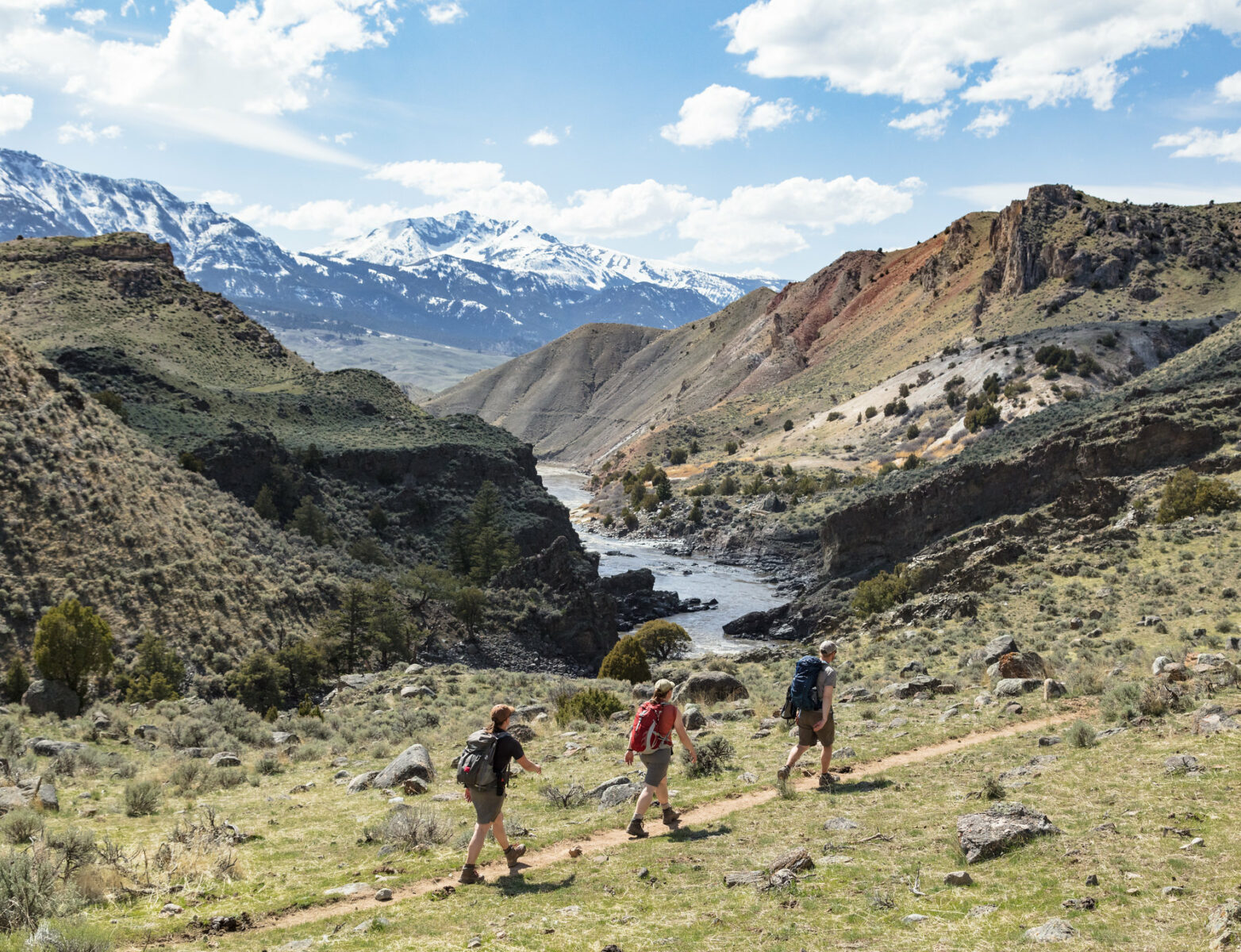 Guided Backpacking Trip In Yellowstone National Park 57hours