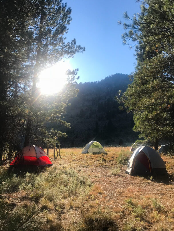 Yellowstone backpacking 1