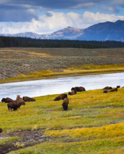 yellowstone overnight hikes