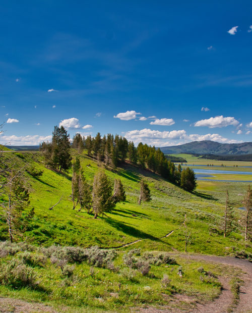 Observation peak outlet yellowstone