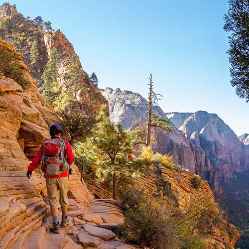 Zion National Park Hiking and Camping - Guided Tour