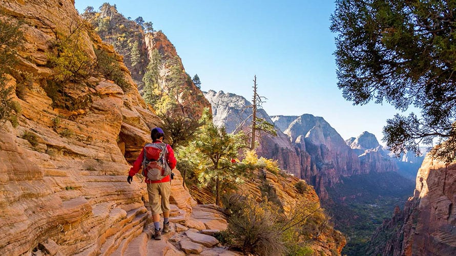 Hiking and Camping Tour of Zion National Park