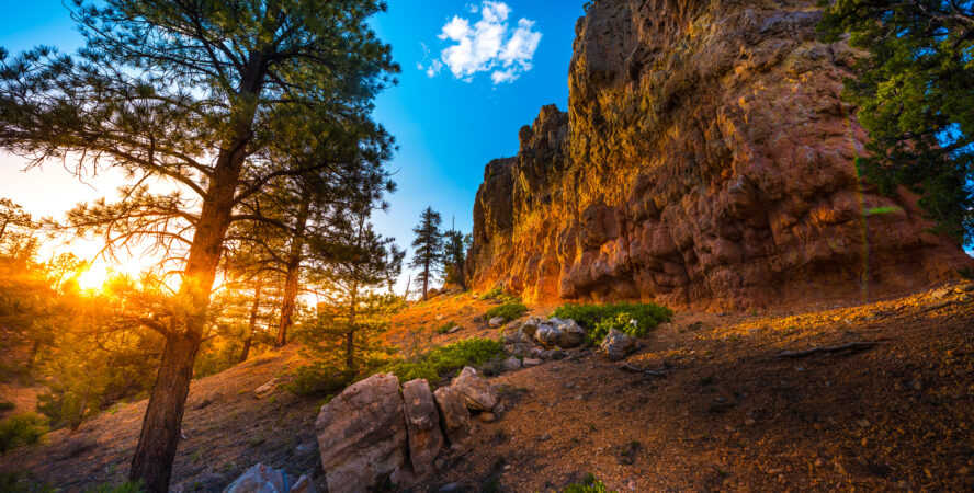 Bryce Canyon mountain biking