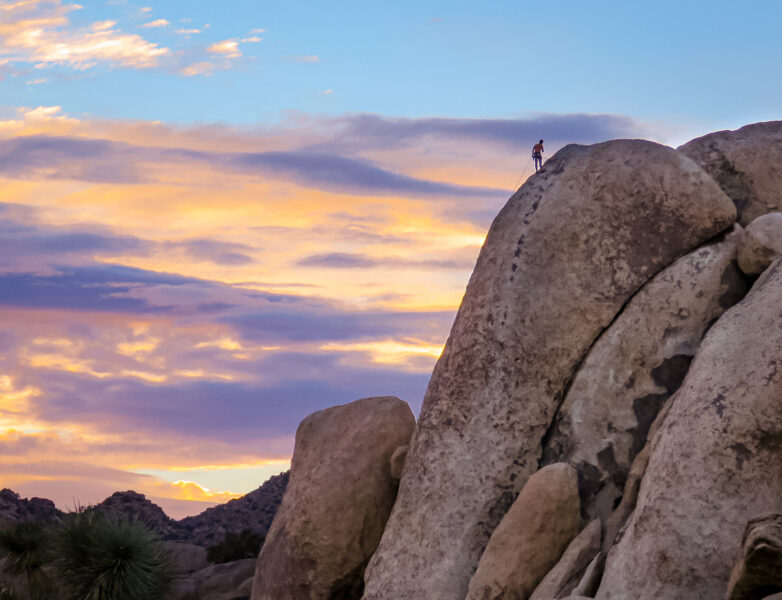 Joshua Tree Climbing Chalk Bag -  Canada