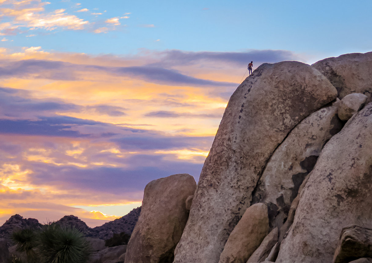 Climbing a crag in Joshua Tree.