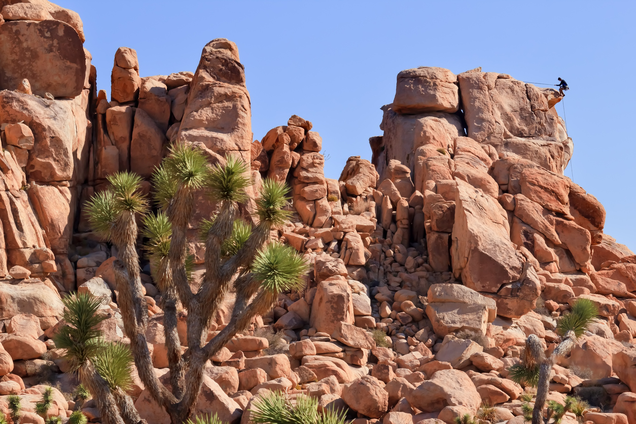 One climber going up a rock in Joshua Tree.