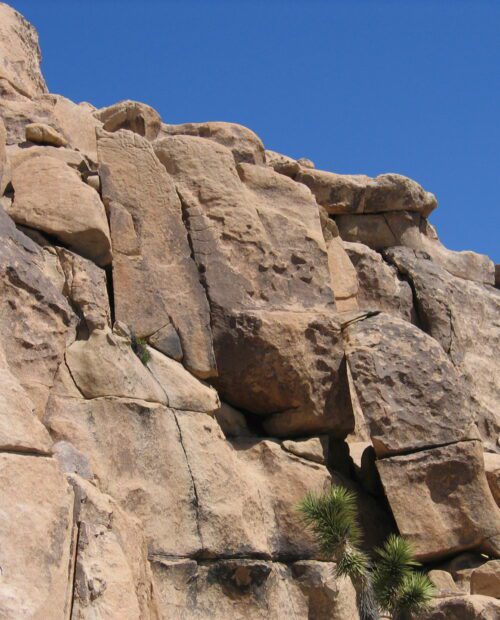 Rock climbing tour in Joshua Tree.