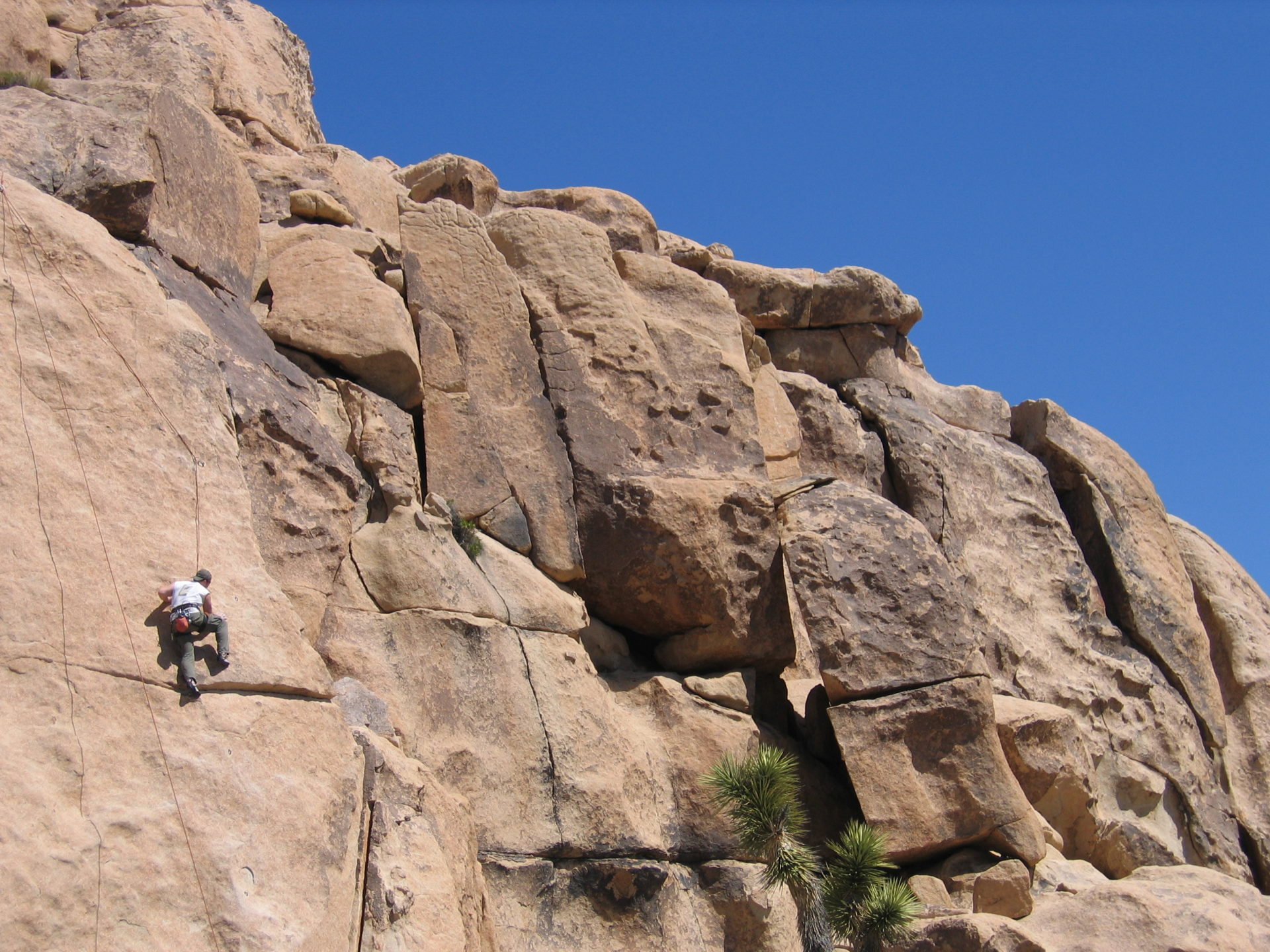 Joshua Tree Rock Climbing - Guided Tour