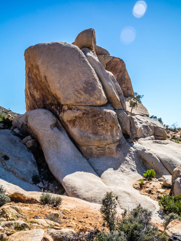 Rock climbing tour in Joshua Tree.
