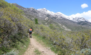 Salt Lake City mountain biking