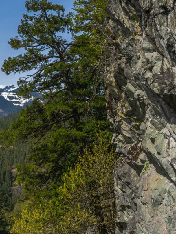 Rock Climbing in Squamish