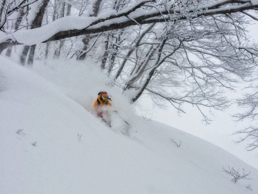 Japan powder skiing