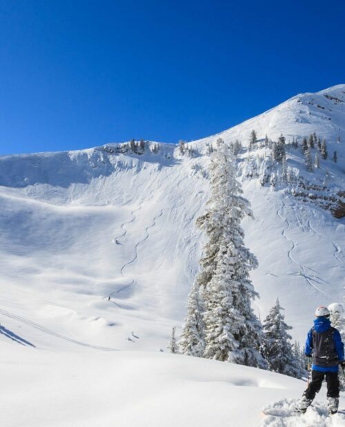 Backcountry Skiing in Grand Targhee